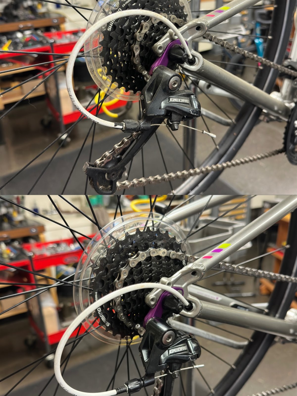 Before and after views of a bicycle cassette, chain, and rear derailleur serviced at Bicycles Plus