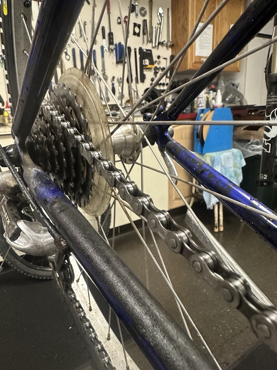 Clean bicycle chain and rear cogs after drivetrain cleaning at Bicycles Plus
