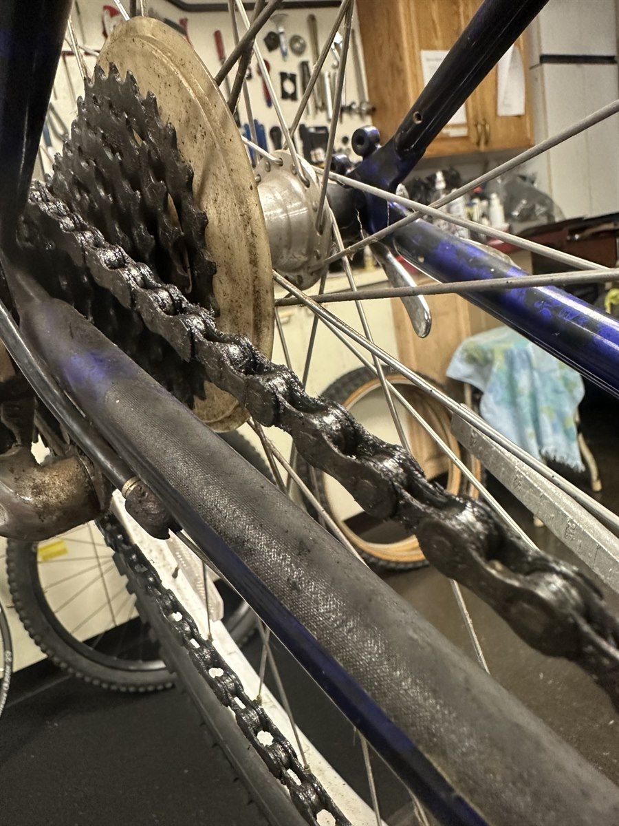 Grease-covered bicycle chain and rear cogs before drivetrain cleaning at Bicycles Plus